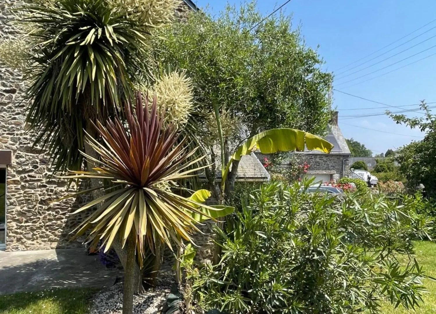 Charmante Maison En Bord De Rance Plouer-sur-Rance Holiday home