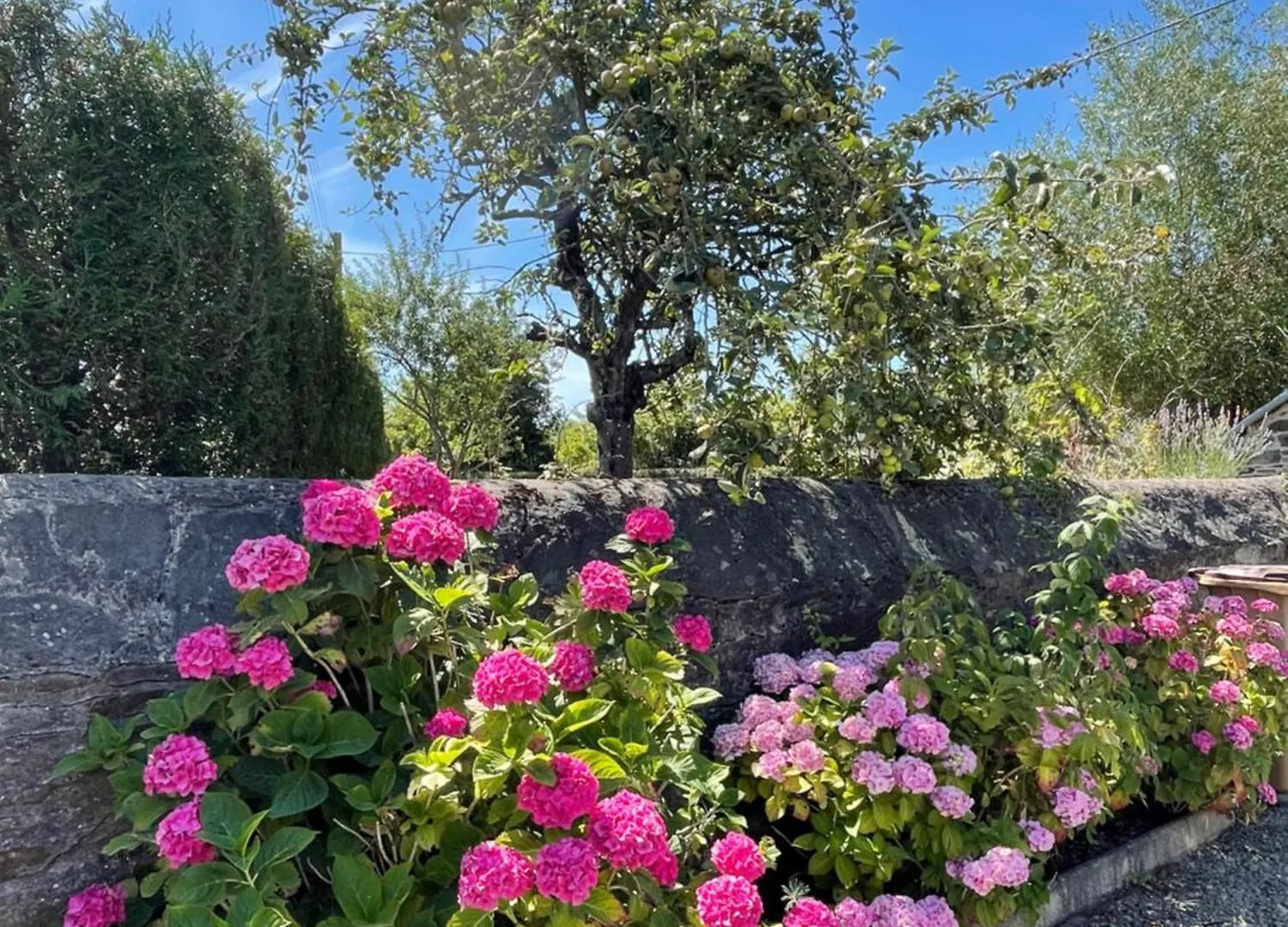 Charmante Maison En Bord De Rance Plouer-sur-Rance